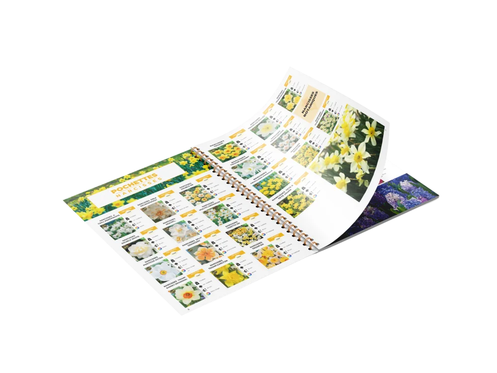 MCG – catalogue édition print
